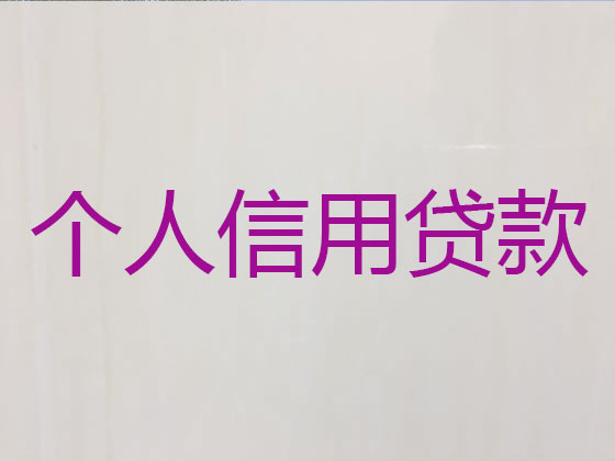 南平抵押贷款公司-银行信用贷款